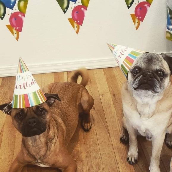 Meet Your Posher - Picture 5 of 6